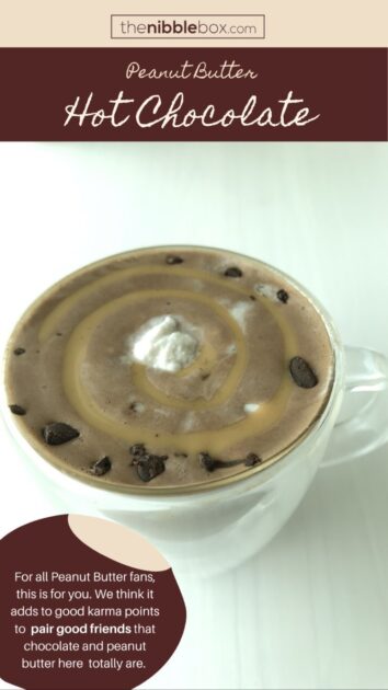 Old thenibblebox.com website Hot chocolate blog 2