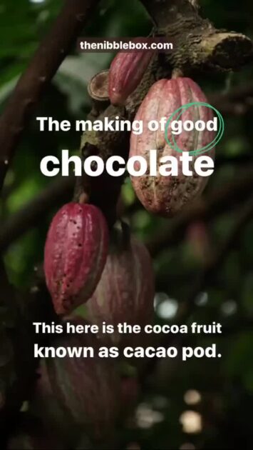 Old thenibblebox.com website The making of good chocolate 1