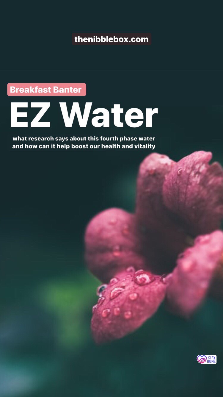 Old thenibblebox.com website blog EZ water and its health benefits 1