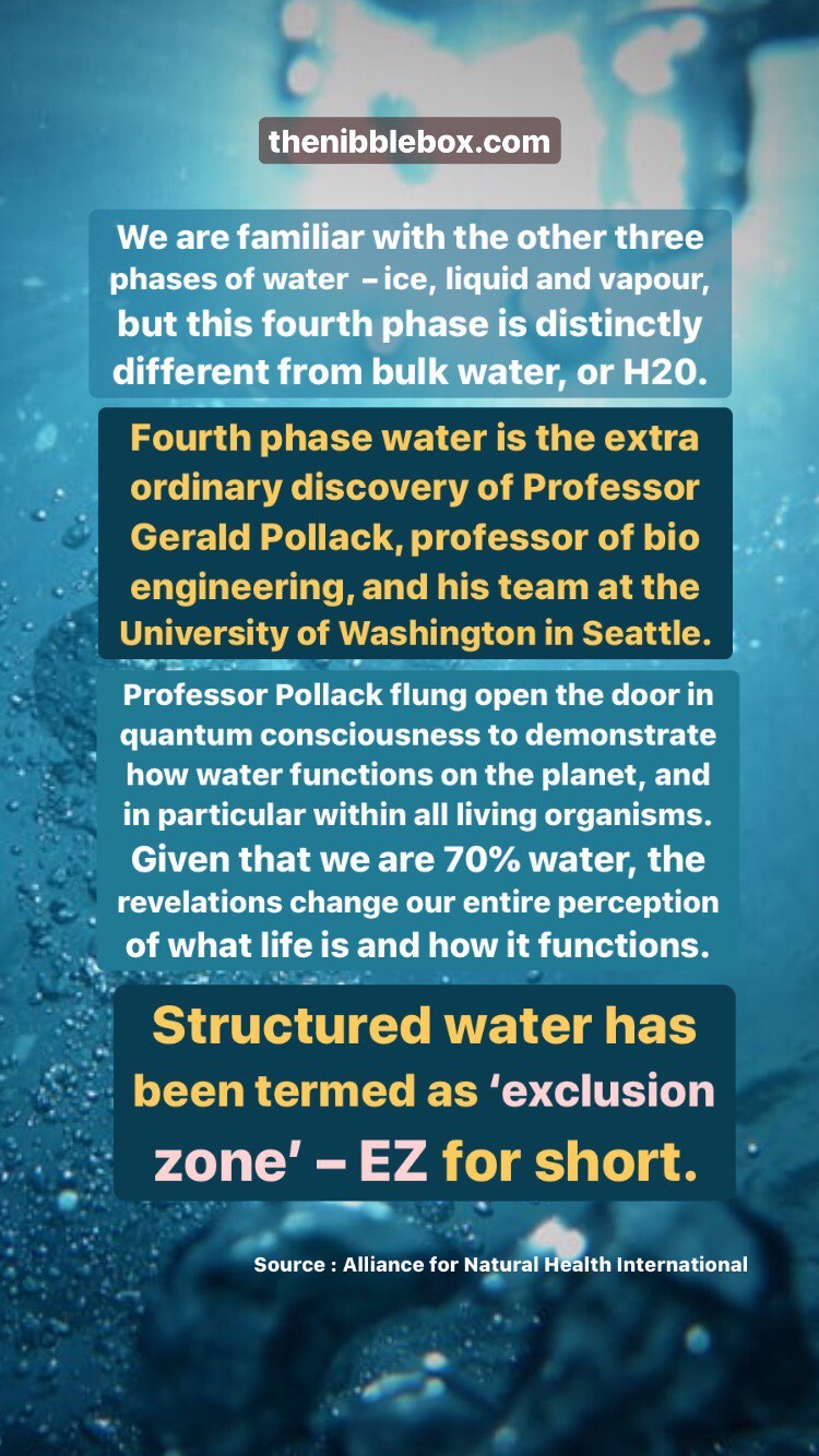 Old thenibblebox.com website blog EZ water and its health benefits 2