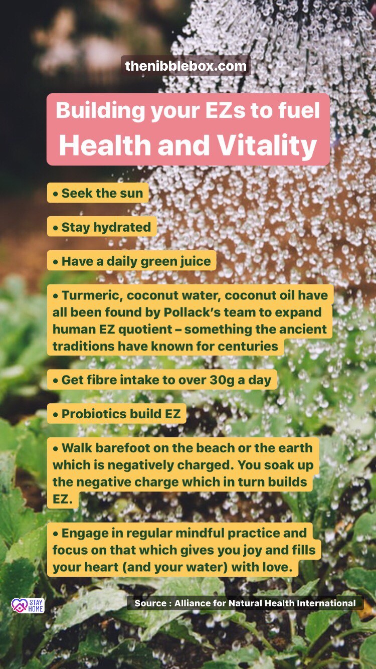 Old thenibblebox.com website blog EZ water and its health benefits 4