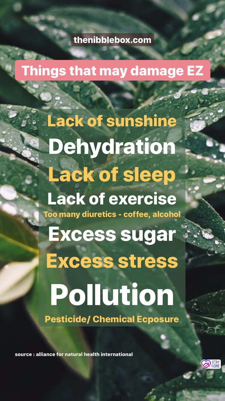 Old thenibblebox.com website blog EZ water and its health benefits 5