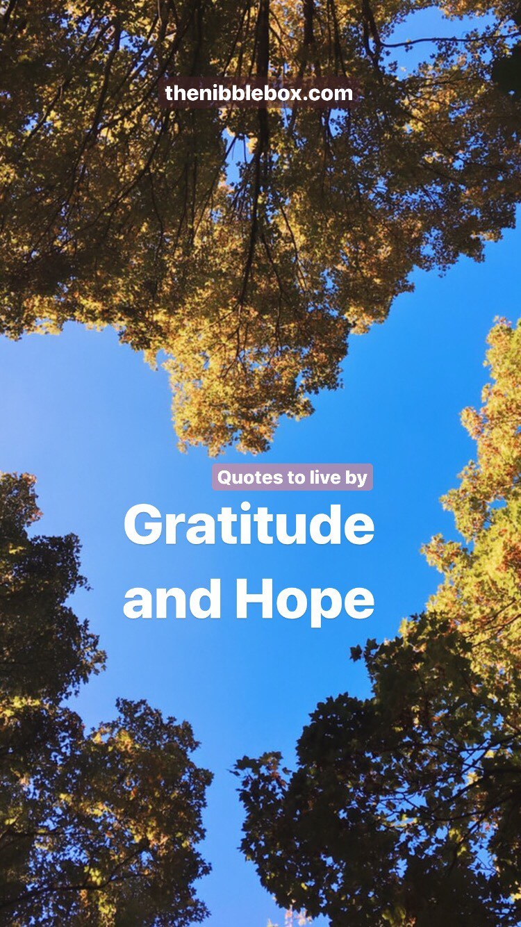Old thenibblebox.com website blog Gratitude And Hope 1