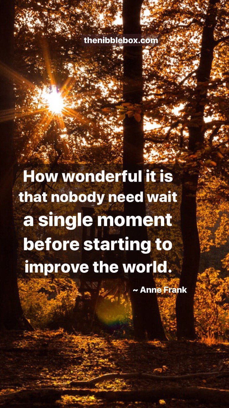 Old thenibblebox.com website blog Gratitude And Hope 2