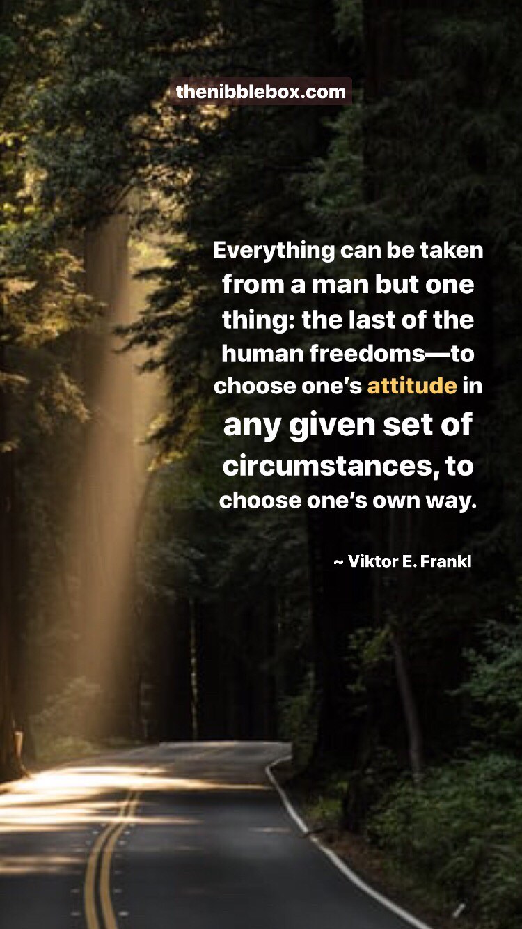 Old thenibblebox.com website blog Gratitude And Hope 3