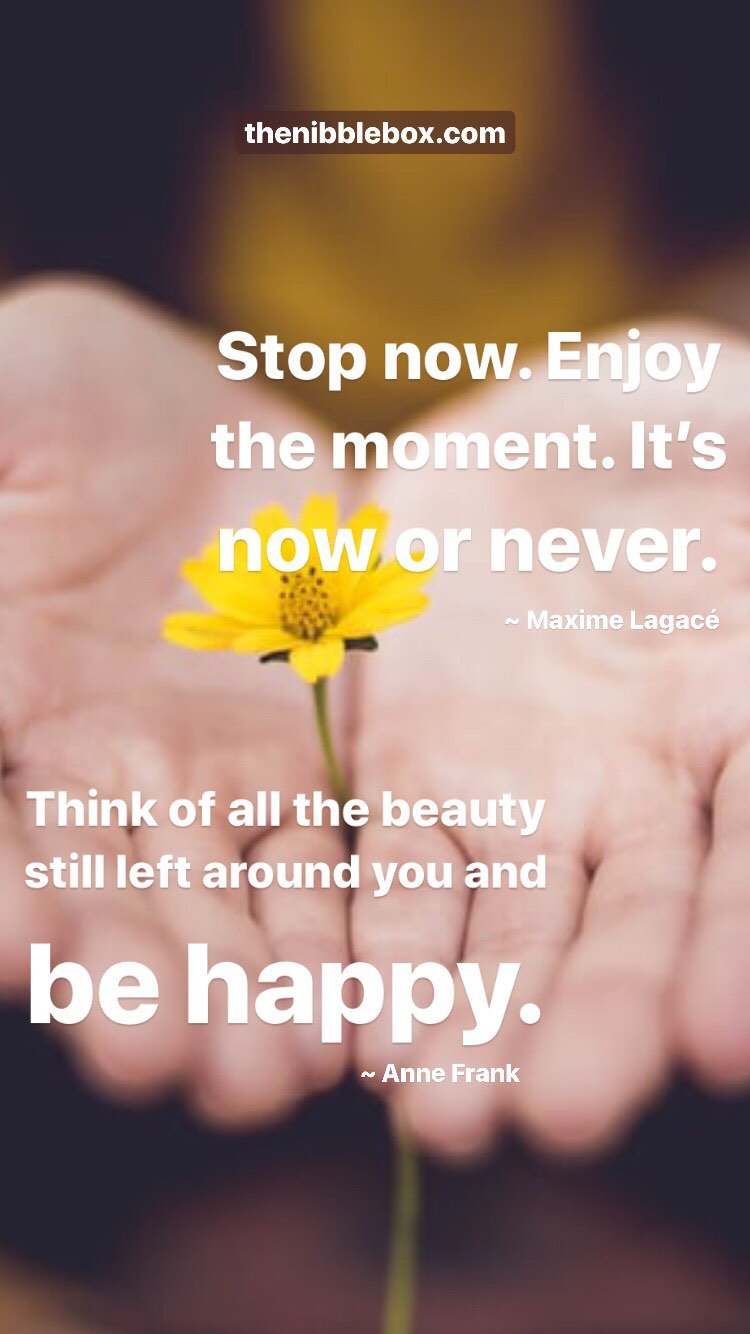 Old thenibblebox.com website blog Gratitude And Hope 5