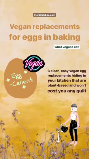 Old thenibblebox.com website blog VEGAN REPLACEMENT FOR EGG IN BAKING 1